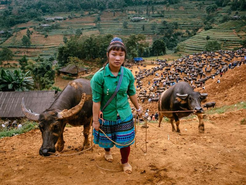Can Cau market in Sapa