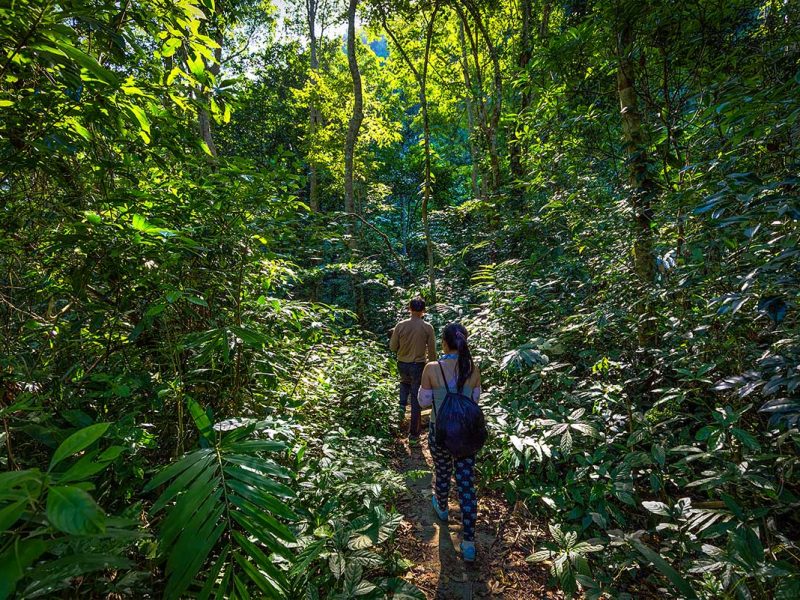 cat ba national park trekking 2 Two tourist doing a trekking in Cat Ba National Park