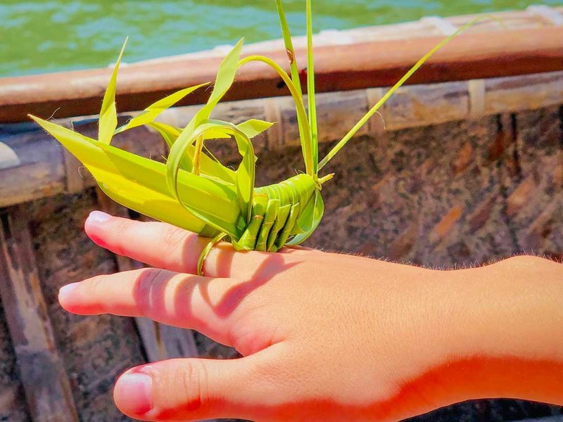 Handmade grasshopper craft woven from coconut leaves during a boat tour in Cam Thanh Coconut Village, a fun souvenir activity in Cam Thanh Village