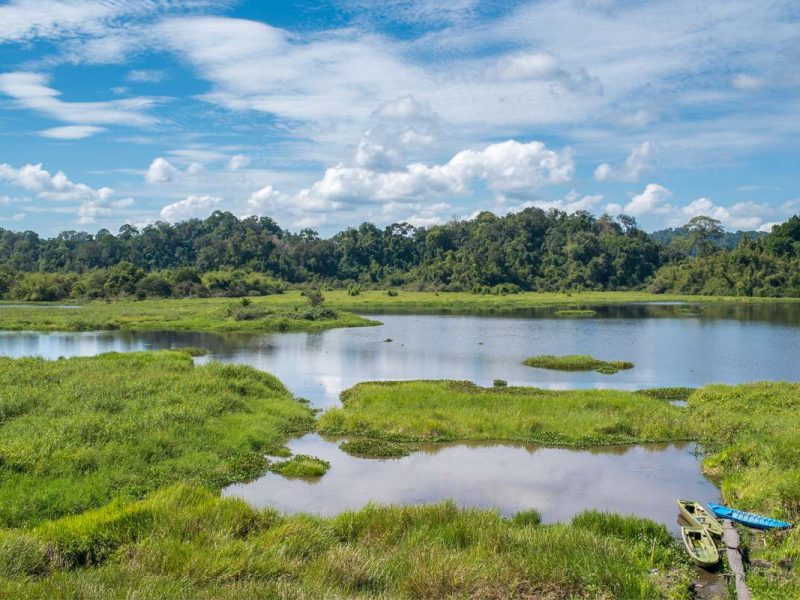 Crocodile Lake in Cat Tien national park