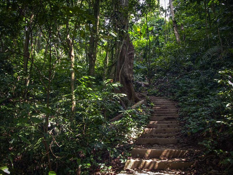 cuc phuong national park trail 1