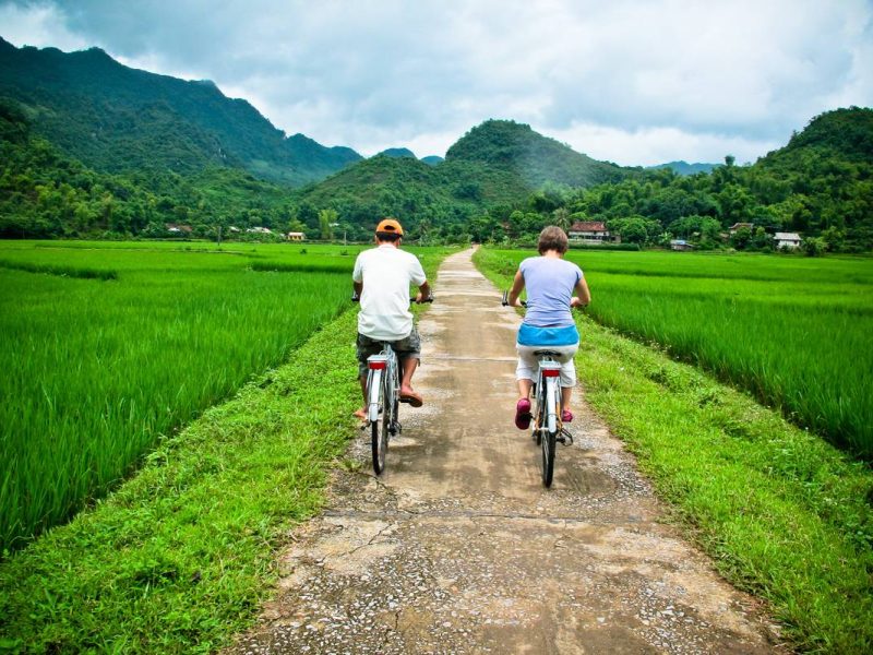 Two people on a countryside road are cycling in Mai Chau between the green rice fields
