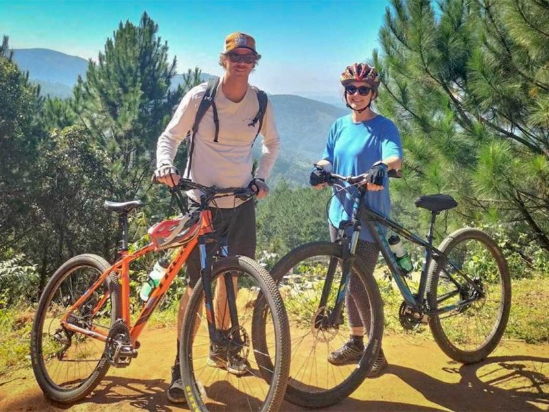 Mountain biking through pine forests and hills on a cycling tour in Dalat, showcasing scenic countryside landscapes