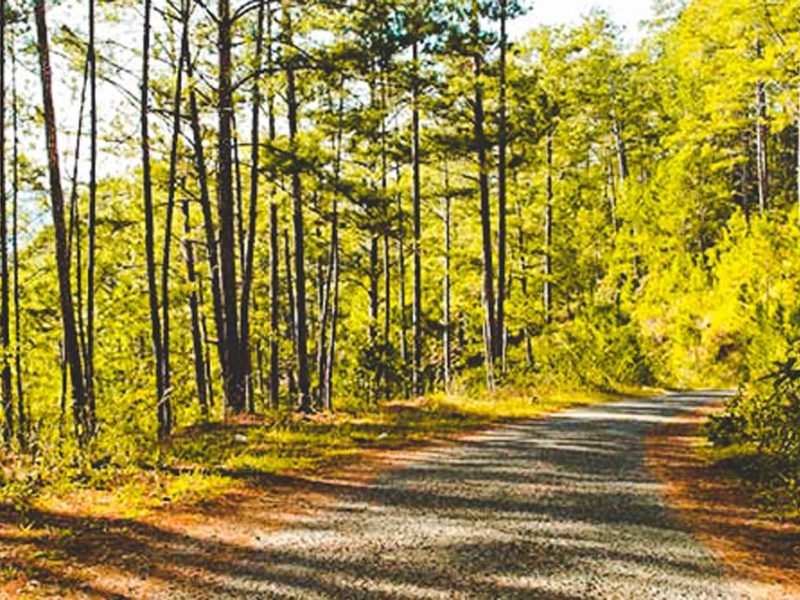 Dalat biking countryside