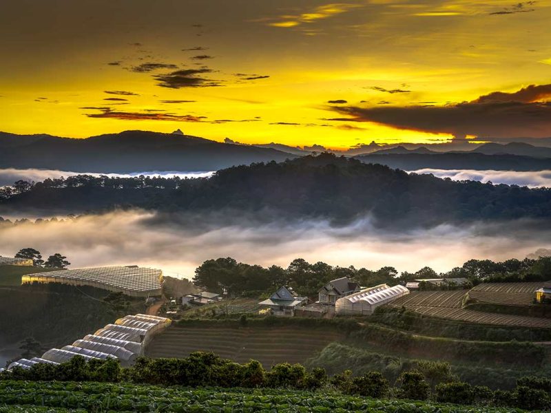 dalat countryside 1 Dalat Countryside: Lush green valleys, mountains, and plantations surround the city of Dalat, Vietnam.
