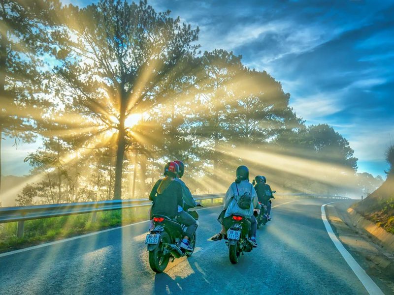 Dalat Easy Rider tours riding through pine forests and mountain roads with experienced local motorbike guides