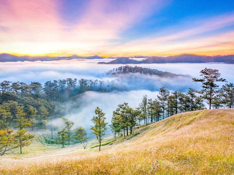 The mountains of Dalat covered in flower fields and forests