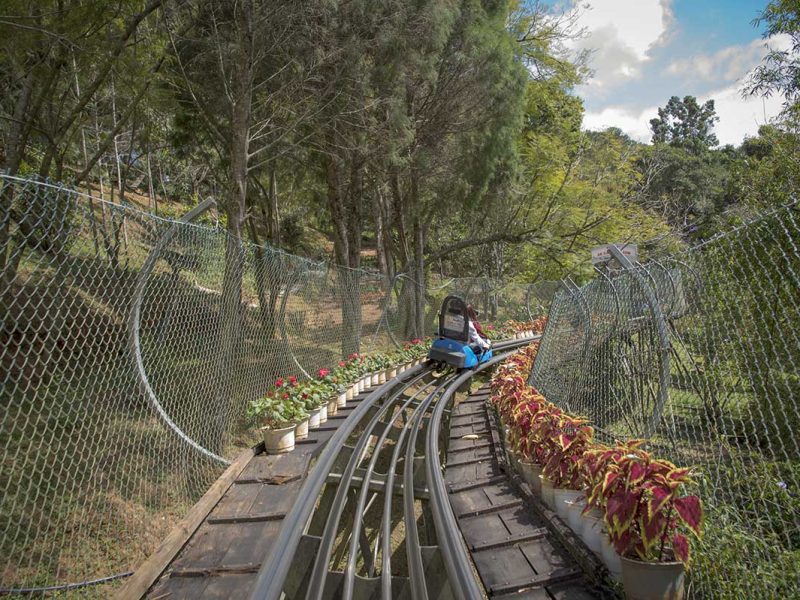 datanla waterfall alpine coaster ride 1 Traveller riding the alpine coaster at Datanla Waterfall, experiencing a fast and scenic downhill ride through the forest near Dalat.