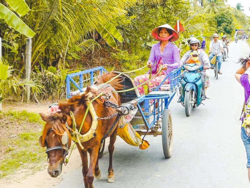 Discover the Mekong Delta tour (My Tho)