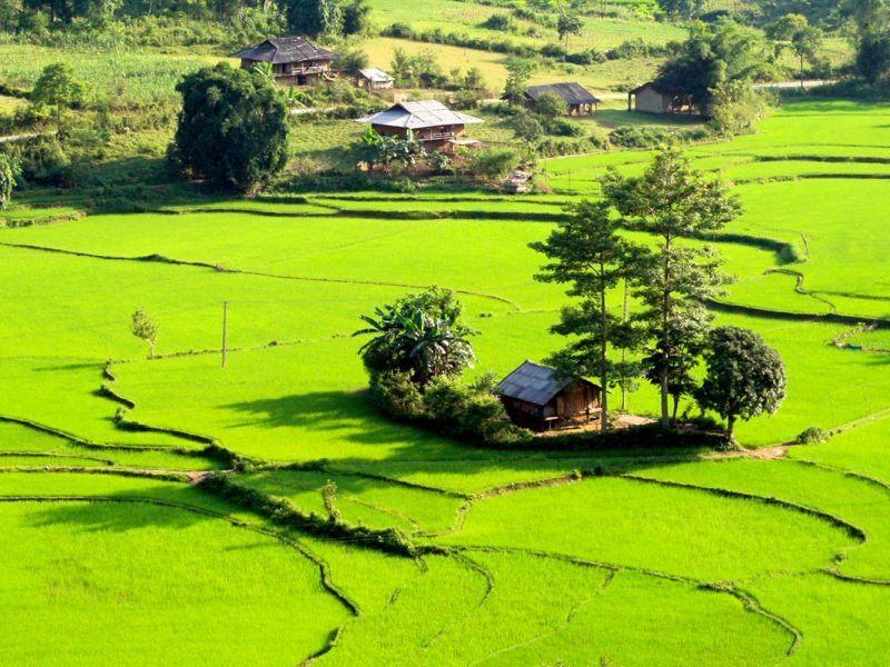 A view of Du Gia with green rice fields and stilt houses of ethnic Tay people