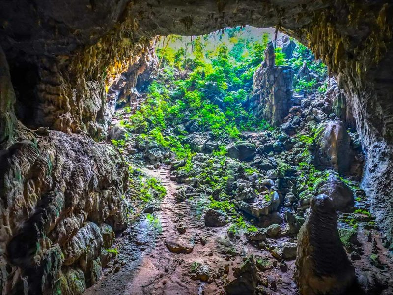 Opening of Elephant Cave in Phong Nha - Ke Bang National Park
