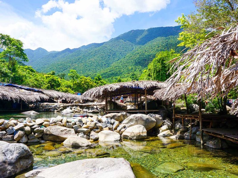 elephant spring hue 3