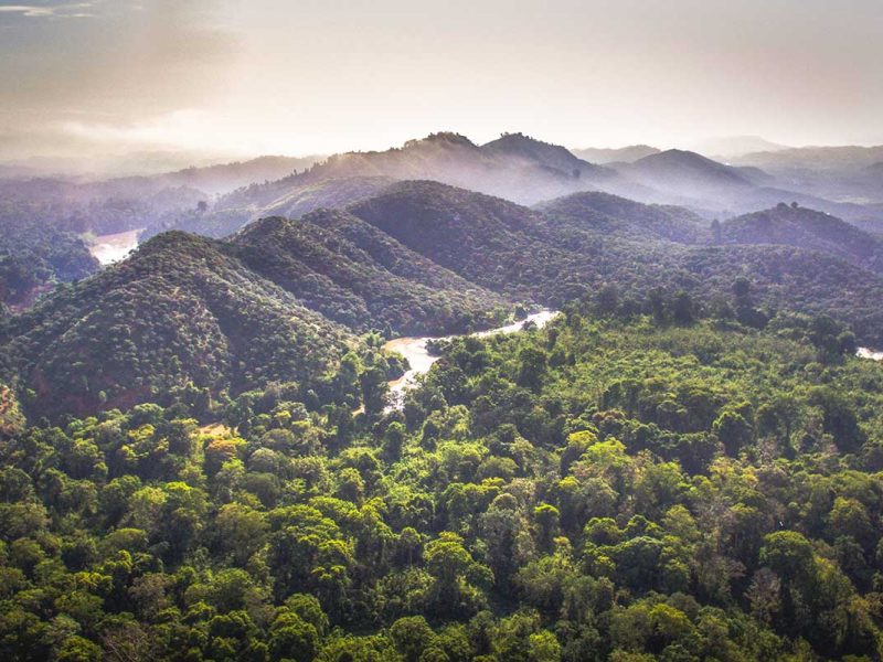 A stunning aerial shot of Cat Tien National Park, showcasing its vast expanse of tropical rainforest and winding rivers.