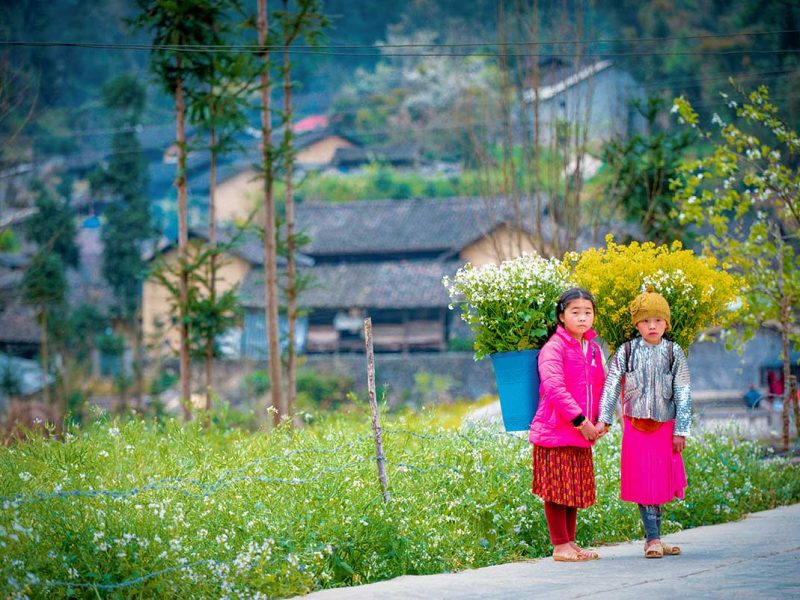 Local ethnic children carrying flowers in a mountain village in Ha Giang — a memorable sight during authentic Vietnam tours through the country’s northern highlands.