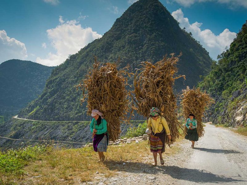 Ethnic women carrying harvested crops along a mountain road in Ha Giang, a remote Vietnam travel destination