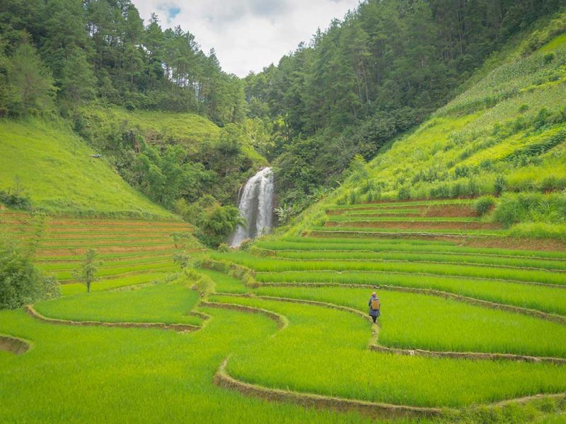 Hidden waterfall in Mu Cang Chai with a hiker walking through bright green terraced rice fields