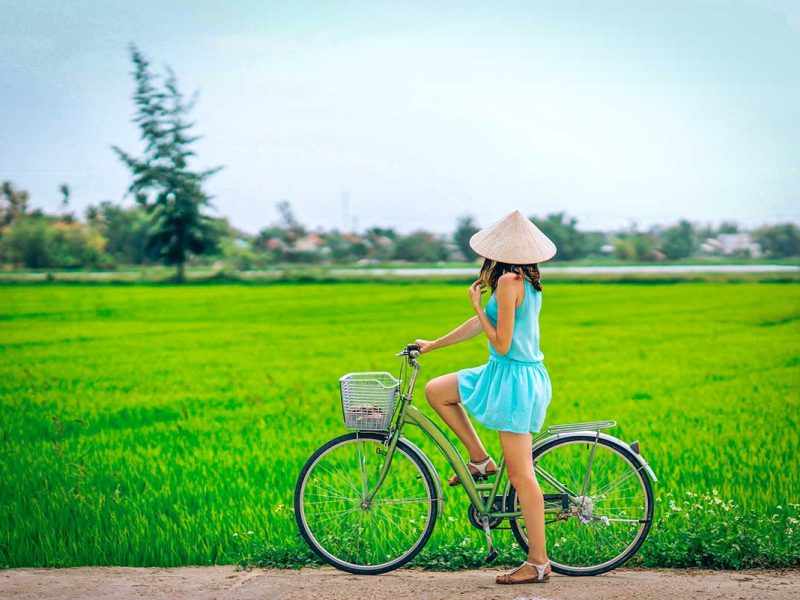 A traveller with conical hat on a bicycle is looking at the green rice fields during a countryside cycling ride around Hoi An