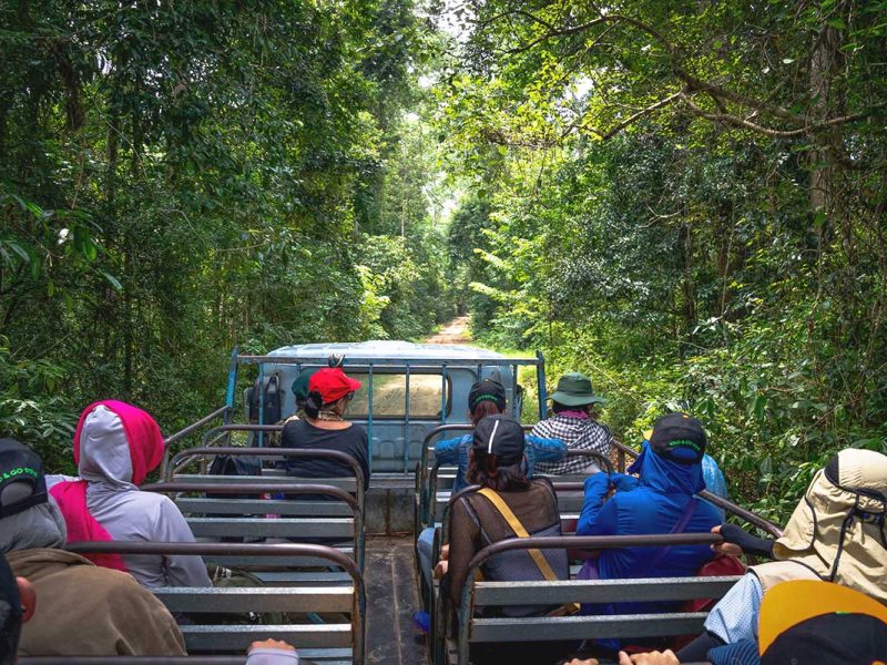 An open jeep driving along a forest path, offering visitors a guided wildlife tour through Cat Tien National Park.