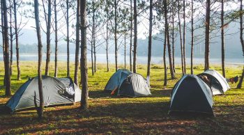 Jungle fever trekking and camping in Dalat