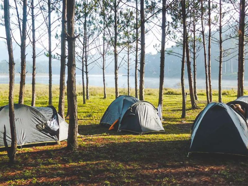 Jungle fever trekking and camping in Dalat