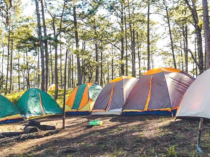 jungle fever trekking dalat 5 Jungle fever trekking and camping in Dalat