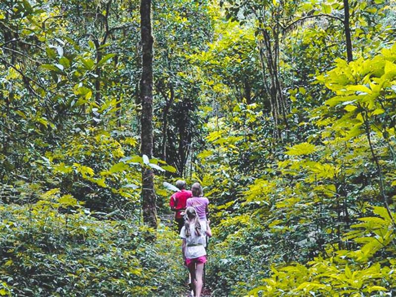 Jungle fever trekking and camping in Dalat