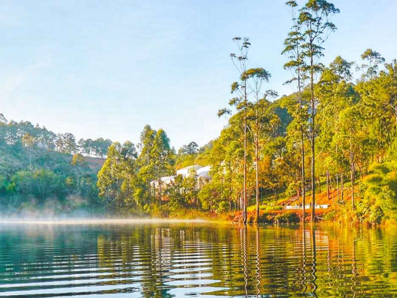 jungle fever trekking dalat Jungle fever trekking and camping in Dalat