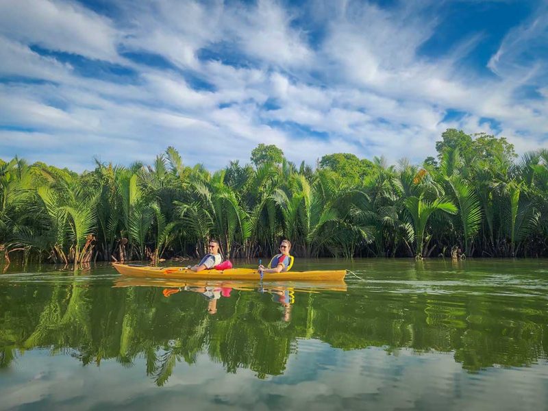 Kayaking through lush nipa palm mangroves with calm green water outside Hoi An