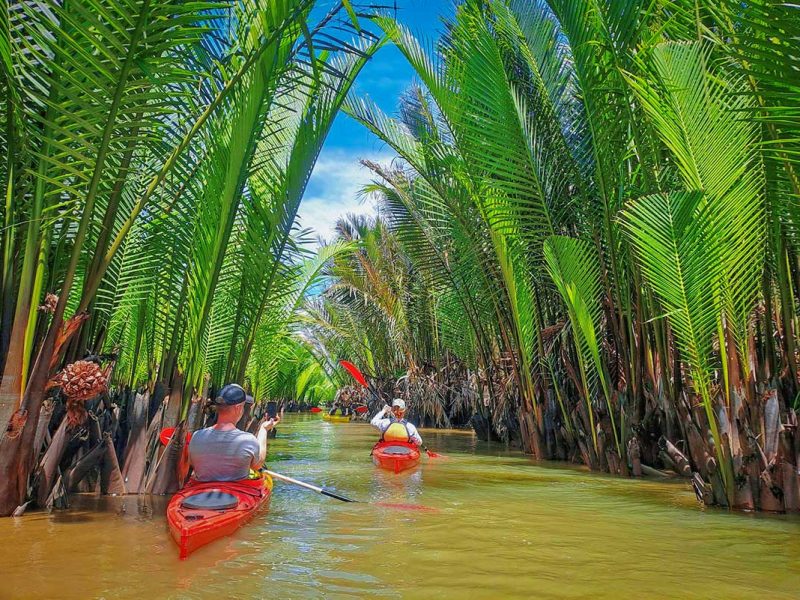 Kayaking beside tall nipa palms inside the Hoi An mangrove forest on the Kayaking Tour Hoi An Mangrove Forest