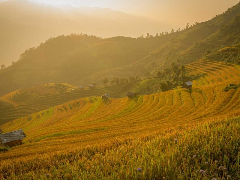 Viewpoint overlooking Kim Noi Village in Mu Cang Chai with wide valley rice terraces
