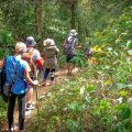Kon Chu Tang Nature Reserve tours with hikers exploring a dense forest trail
