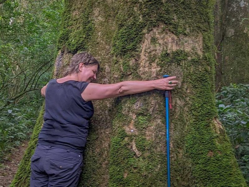 Traveller exploring a forest trail on a Langbiang Mountain trekking tour, highlighting mossy trees and jungle scenery near Dalat.