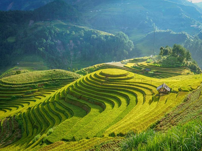 Mam Xoi Hill viewpoint overlooking the round rice terraces of Mu Cang Chai