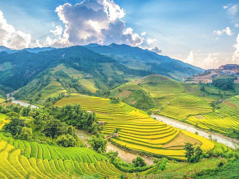 Mu Cang Chai