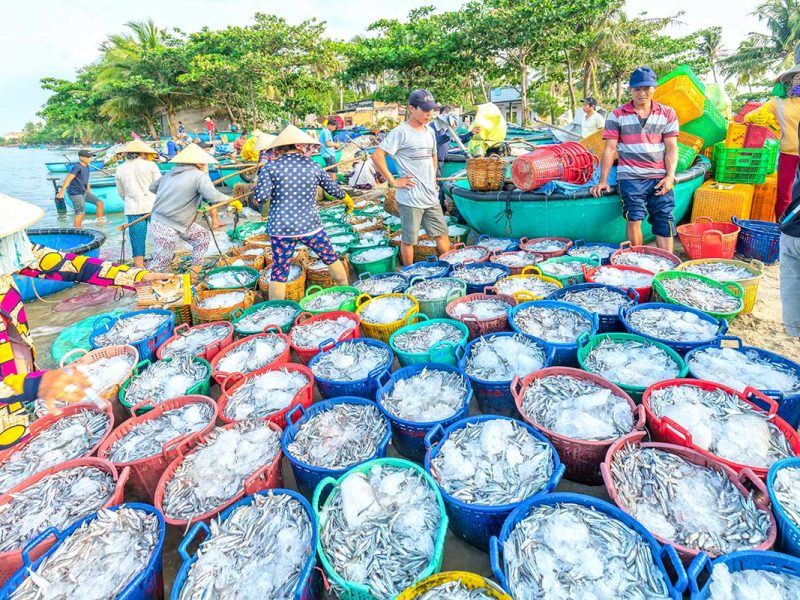mui ne fishing harbour 1