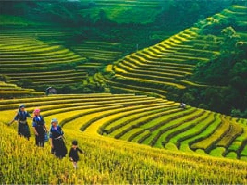 muong hoa valley muong hoa valley