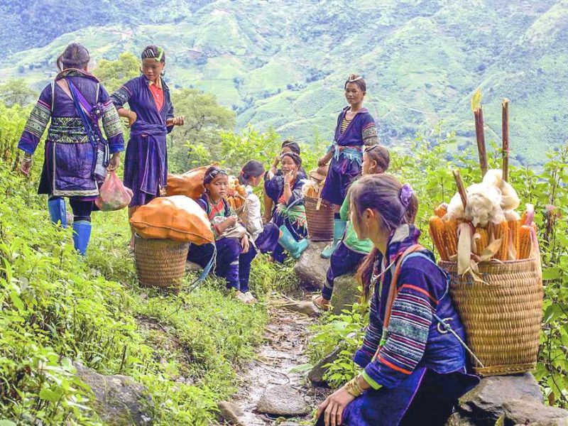 Muong Hoa Valley trekking