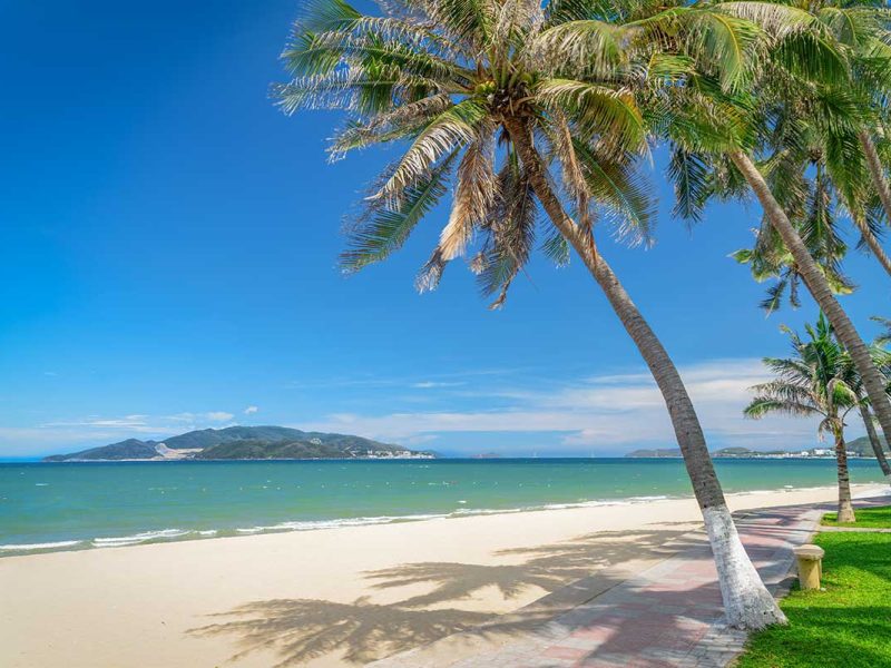 Nha Trang Island tours with a palm-lined beach and clear blue water along the coast