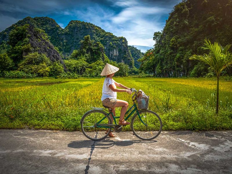 ninh binh countryside cycling 1 A woman tourist cycling along the rice fields in Ninh Binh's countryside in Vietnam