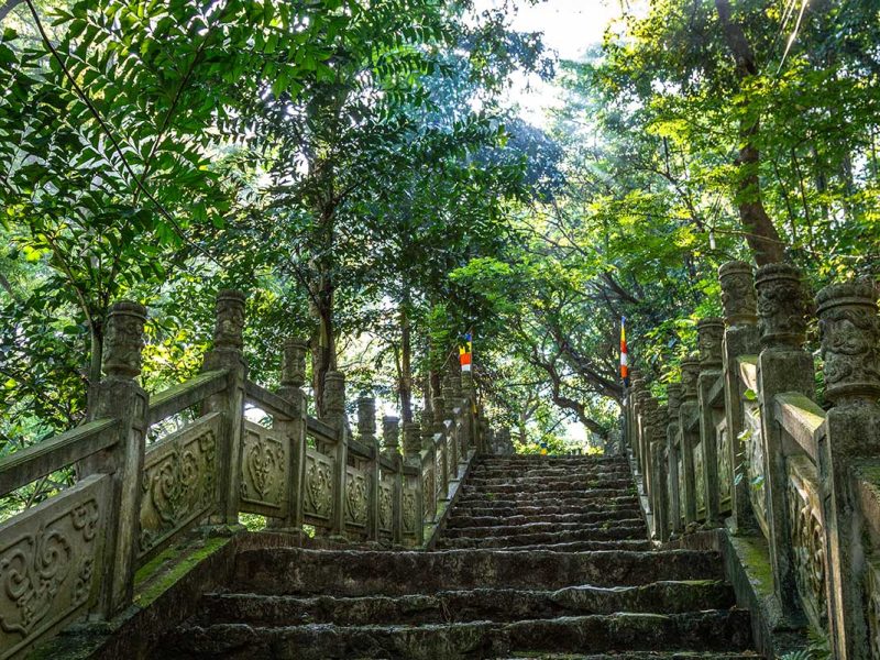 Forest path with long staircase ascending to the summit of the Perfume Pagoda pilgrimage site