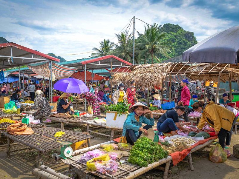 Stalls low the the ground with vegetables at Pho Doan Market