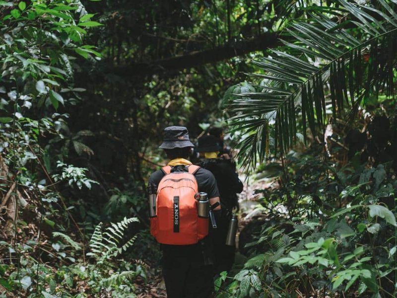 phong nha jungle trekking 2 Phong Nha jungle trekking