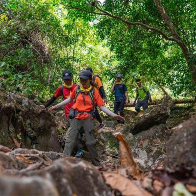 Phong Nha jungle trekking
