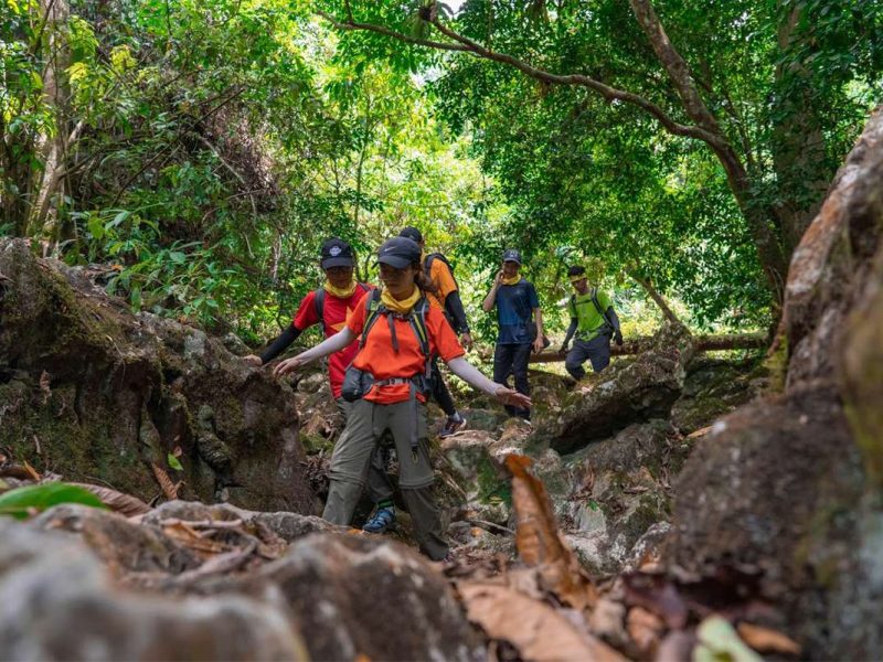 phong nha jungle trekking Phong Nha jungle trekking