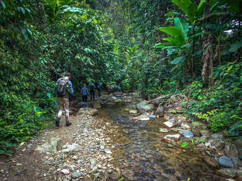 phong nha trekking 1
