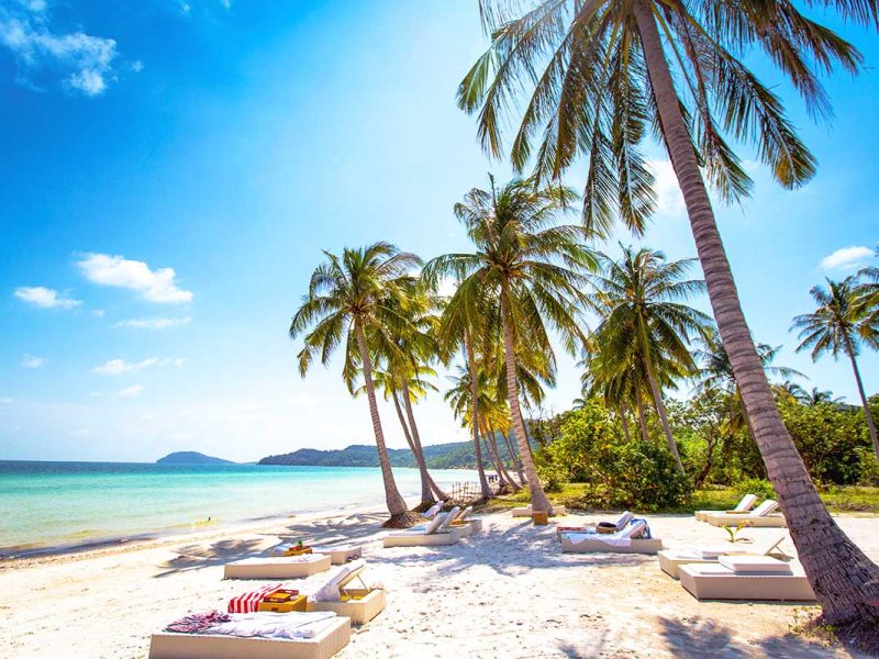 Palm trees and pure white sand with lounge chairs at Bai Sao Beach on Phu Quoc Island.