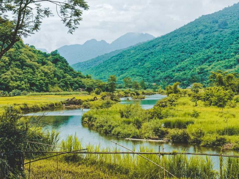 pu luong 4 Pu Luong Nature Reserve & Ninh Binh 4 day