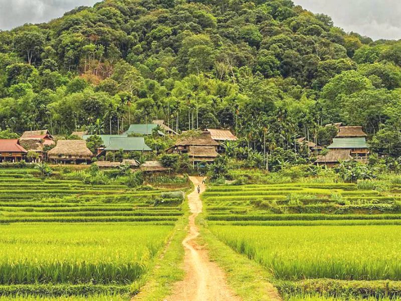 Pu Luong nature reserve