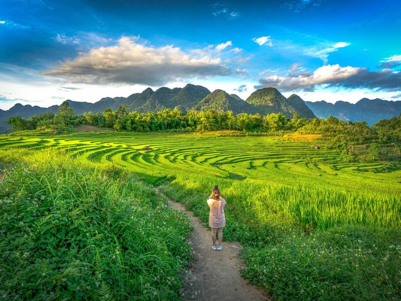 A woman trekking through stunning terraced rice fields of Pu Luong Nature Reserve with long green rice growing