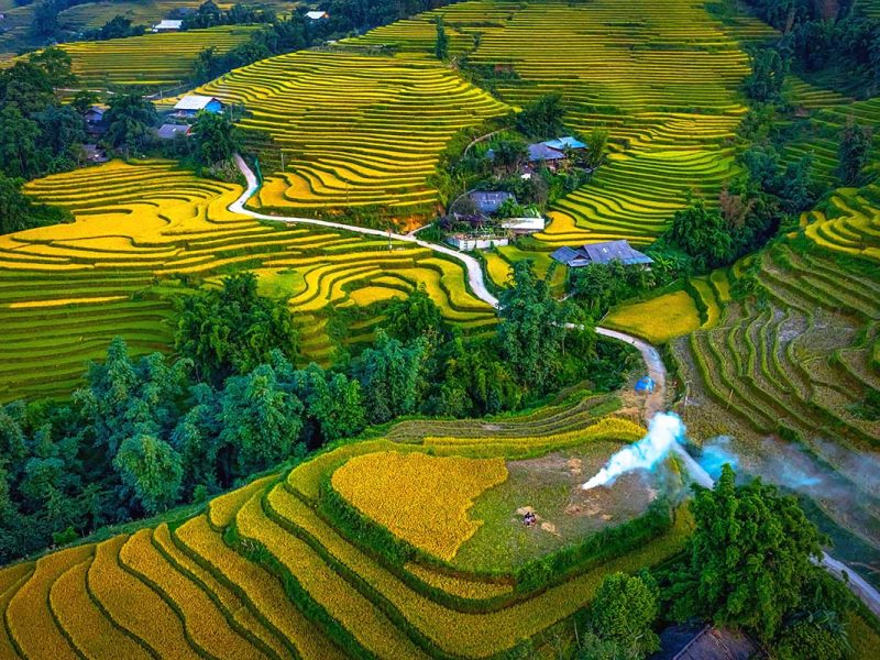 Rice fields around Y Linh Ho
